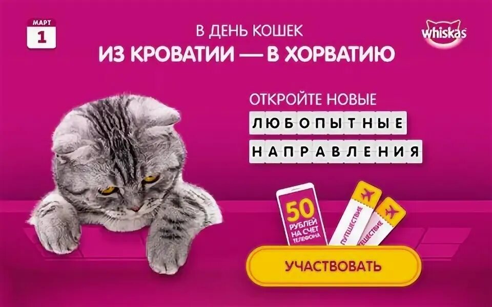 День кошек вискас. День кошек акция. День кошек вискас. Акции ко дню кошек вискас. Вискас реклама 2020.