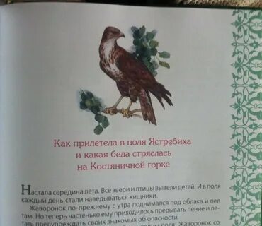 Бианки оранжевое горлышко читательский дневник 4