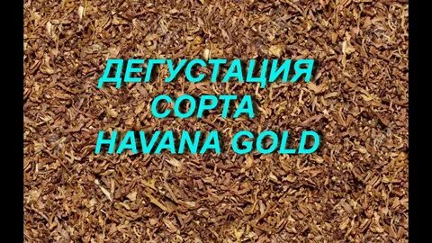 Богем гавана голд