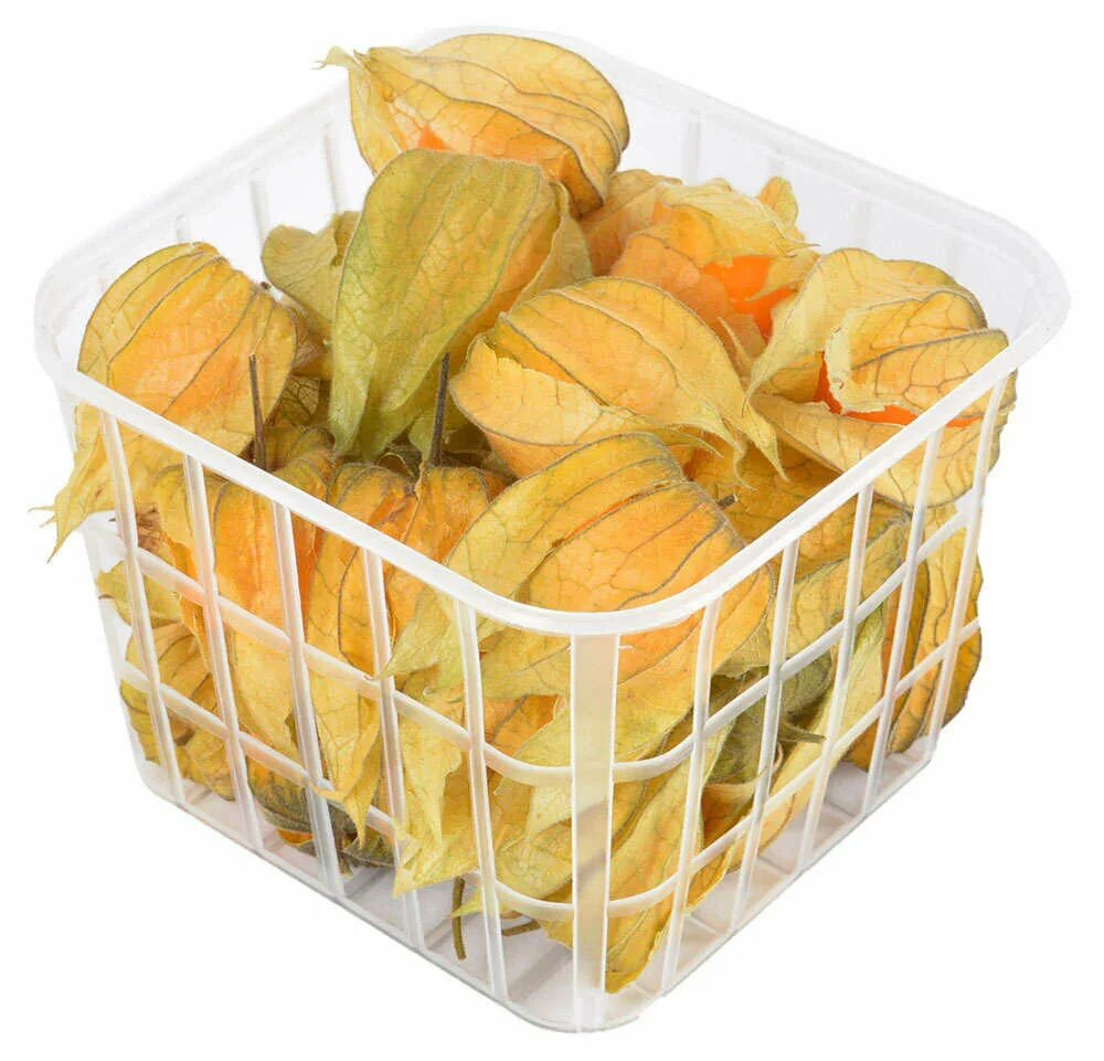 Физалис мандарин. Физалис скелетированный. Физалис мандарин. Ветка физалиса. Физалис упак 100гр артфрут.