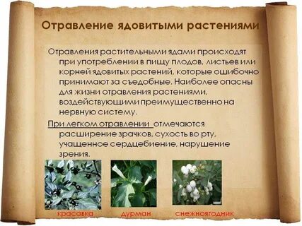 Нейтрализующий яд