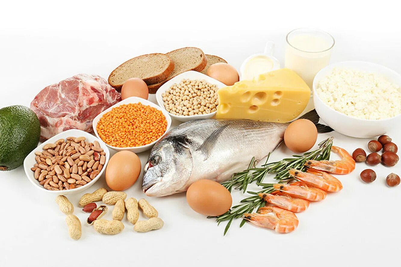 Питание белковой пищи. Белки продукты. Белок в продуктах. Белок в еде. Белок в продуктах.