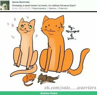 Коты воители мемы