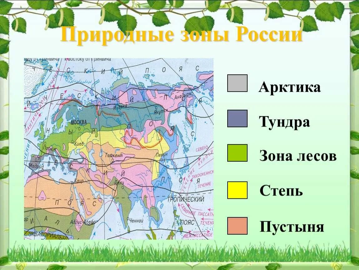 Карта природных зон. Природные зоны России. Карта природных зон России. Расположение природных зон.
