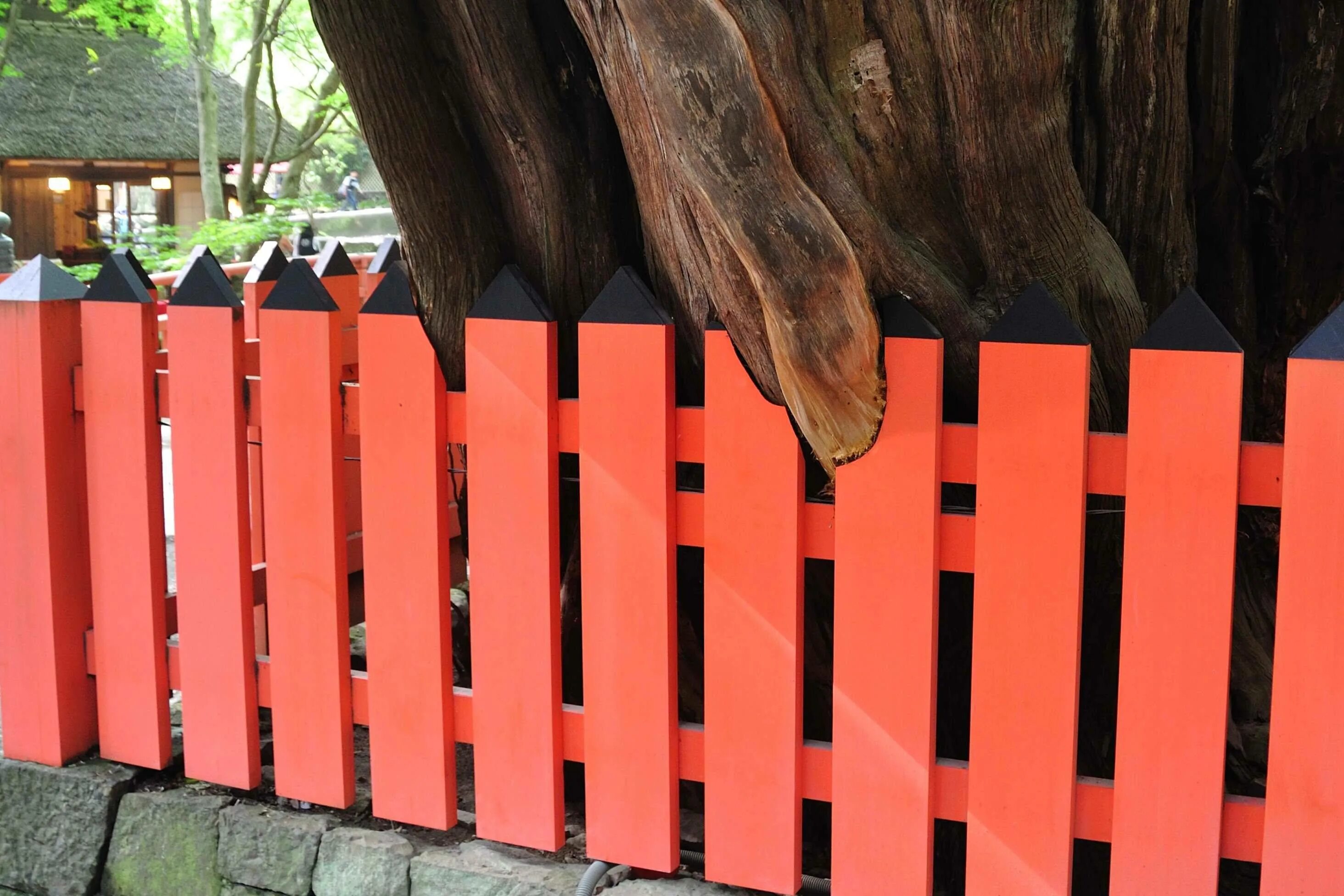 Чем покрасить деревянный забор на улице. Красивый забор из штакетника. Красивый деревянный забор. Деревянный заборчик. Забор штакетник деревянный.