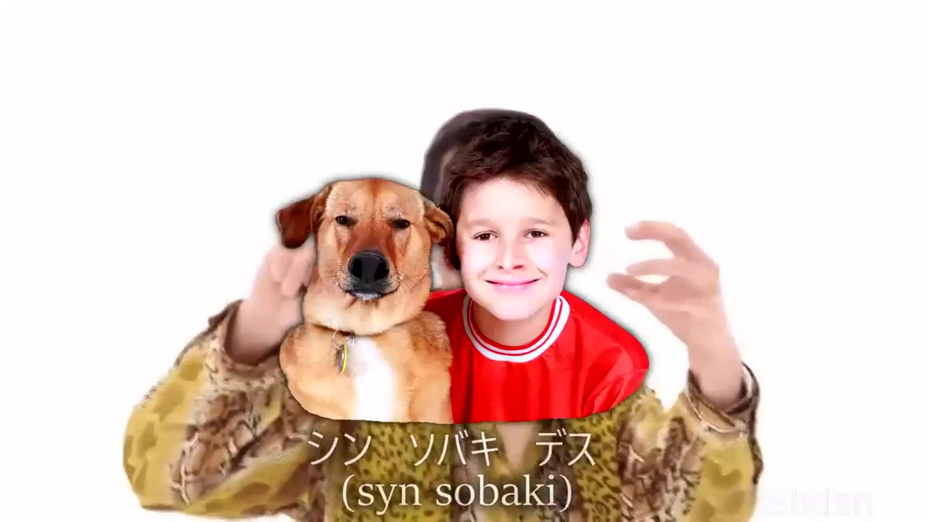 Собака сын собаки. Собачий сын. Версута сын собаки. Почему сын собаки. Версута дота.