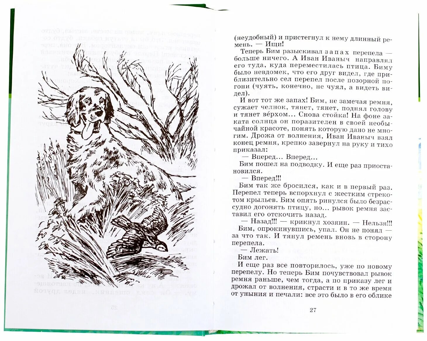 Читать книгу белый бим черное. Белый бим черное ухо. характеристика белый бим черное ухо. белый бим черное ухо книга. рецензия на книгу белый бим черное ухо.