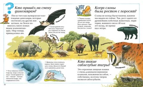 Книги где есть