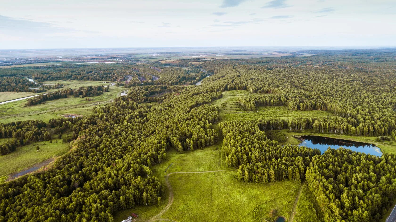 подтайга тюменской области. лесхоз тюмень глава. сохрани лес тюмень. лесничий. лесное хозяйство тюменской.