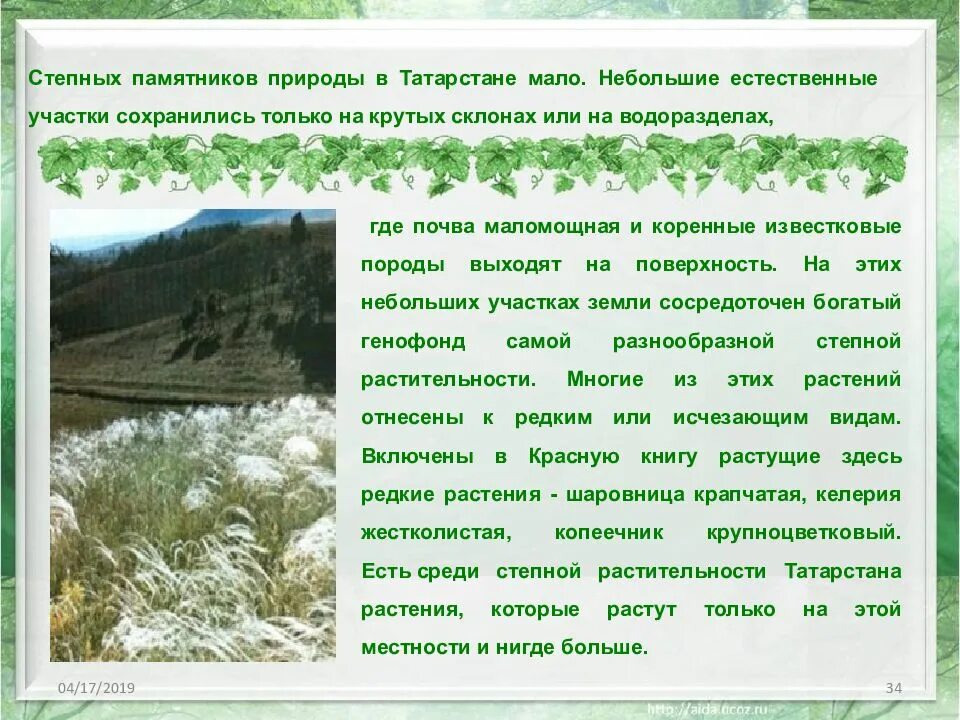 Разнообразие природы родного края татарстан. Памятники природы татарстана. описание природы татарстана. растения родного края татарстан. разнообразие природы татарстана.