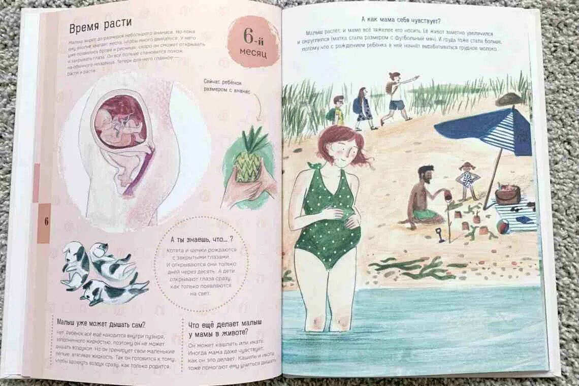 Как объяснить ребенку как появляются дети. Откуда берутся дети книга. откуда берутся дети книга для детей. откуда берутся дети книга ссср. советская книжка откуда берутся дети.