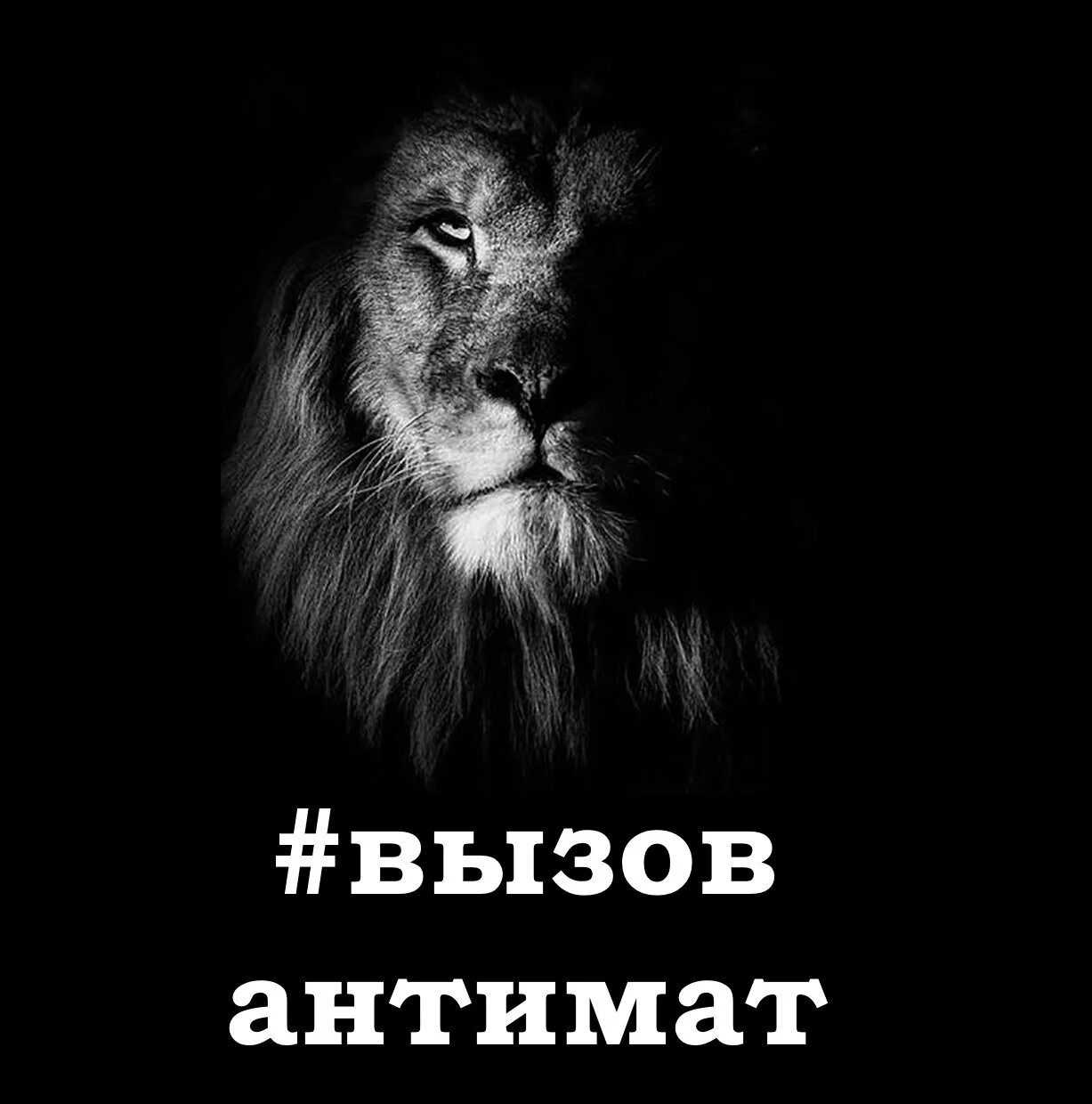 Md pride. Анти маты. Прайд телеграм. Иконка телеграмм. Прайд телеграм.