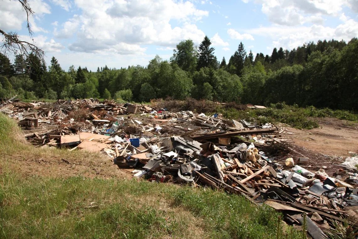 Прогноз бокситогорск. Прогноз бокситогорск