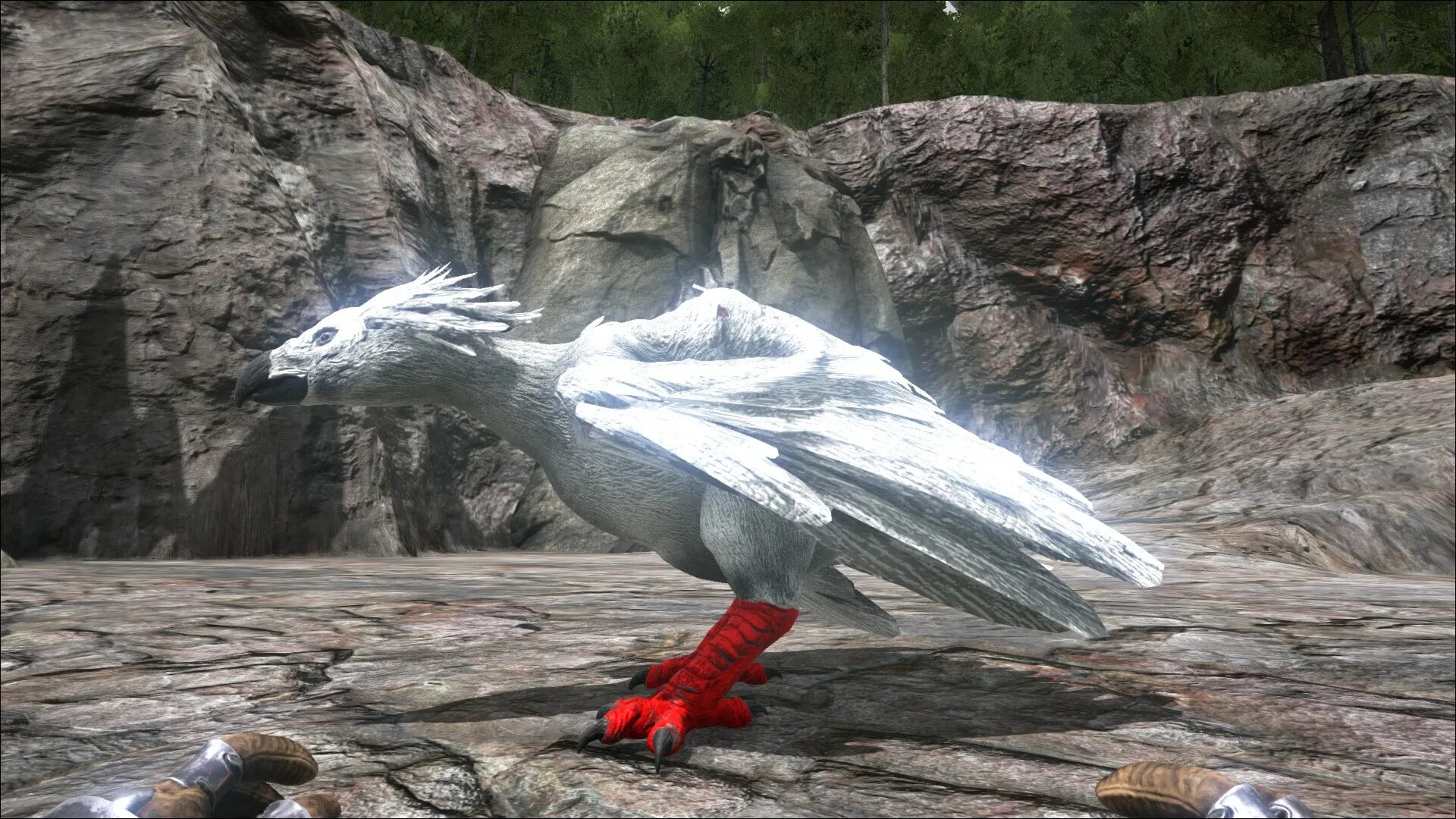 Тираннозавр арк. Арк сурвайвал эволвед. Raptor динозавр арк. Арк сурвайвал рекс. Аргентавис птица арк.