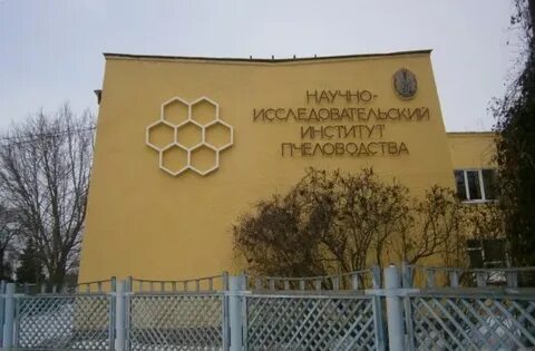 Рыбное пчеловодство