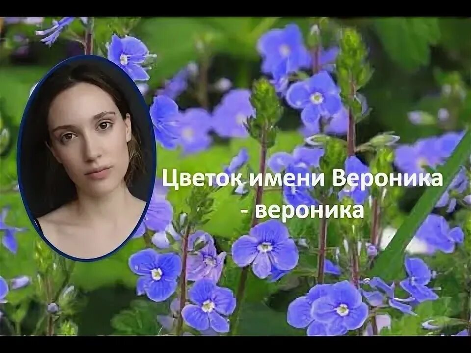 Растет на окошке цветок огонек. Песни про названия цветов. Стихи о весне красивые. Песни про названия цветов. Стихи про цветы.