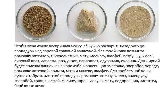 Свежие дрожжи сколько сухих дрожжей в граммах. Соотношение сухих и прессованных дрожжей таблица. дрожжи сухие и прессованные соотношение. дрожжи сухие и живые. живые дрожжи и сухие соотношение.