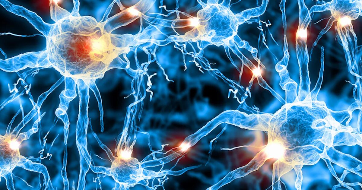 Клетки мозга. Мозг человека Нейроны. Нейронные клетки мозга. Нейрон фото.