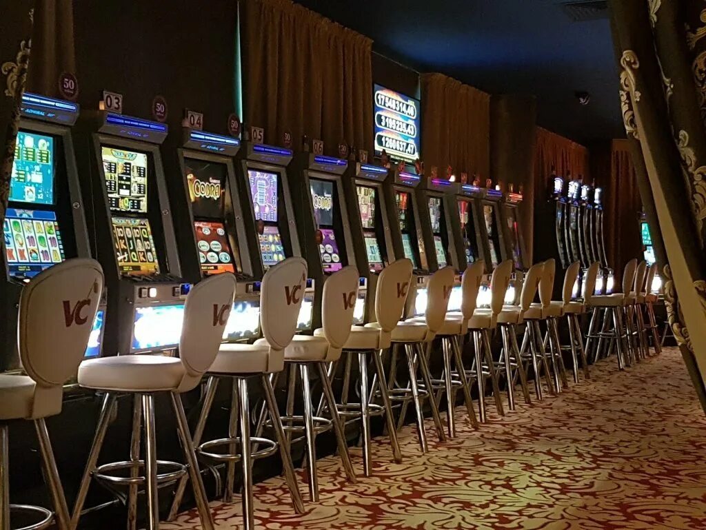 Victoria cherry минск. Ycasino минск. Ycasino минск. Victoria cherry минск. Victoria cherry минск.