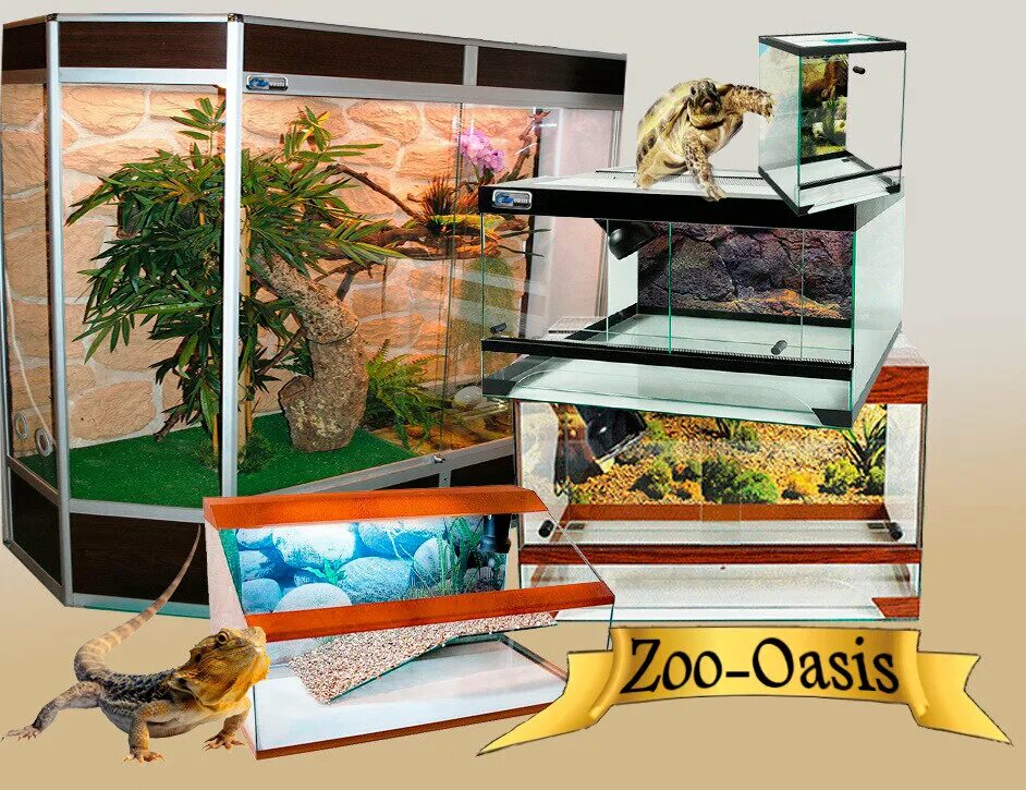 Животные в зоо иагазинах. Зоомагазин. Бетховен магазин для животных в москве. Магазин экзотических животных. Зоомагазин с животными в москве.