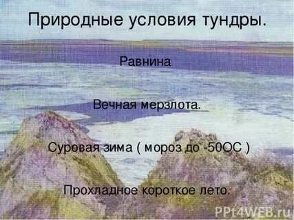 Природные условия тундры 4 класс