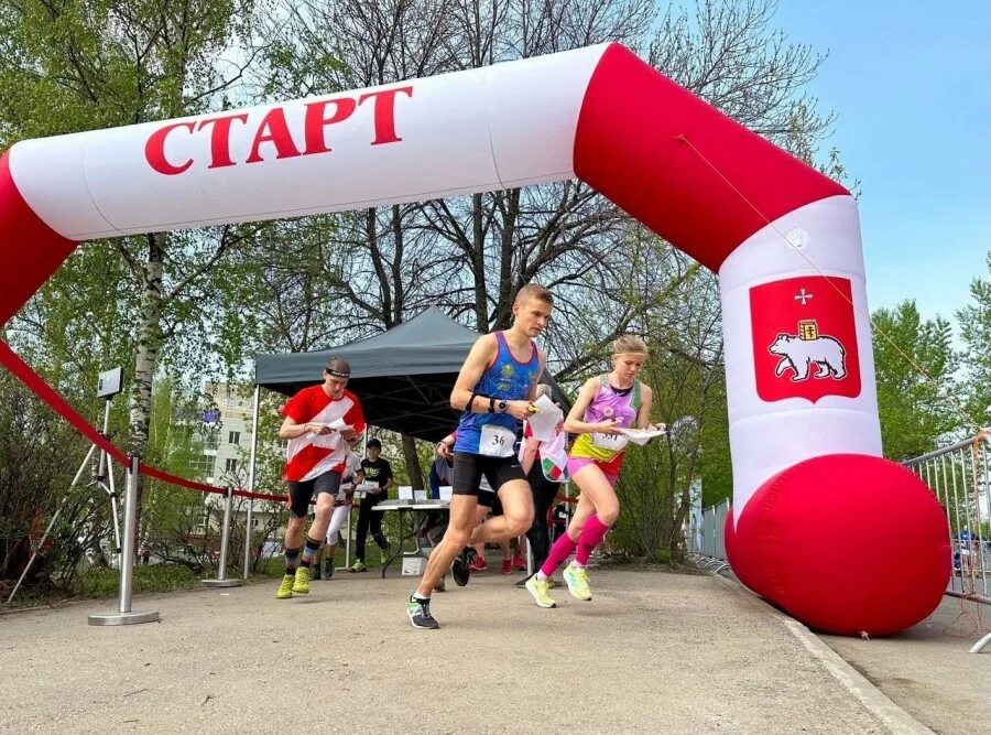 Спортивное ориентирование 2023