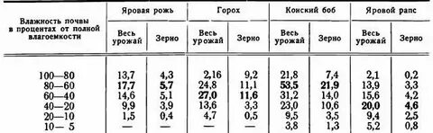 В сухой период они находятся в состоянии