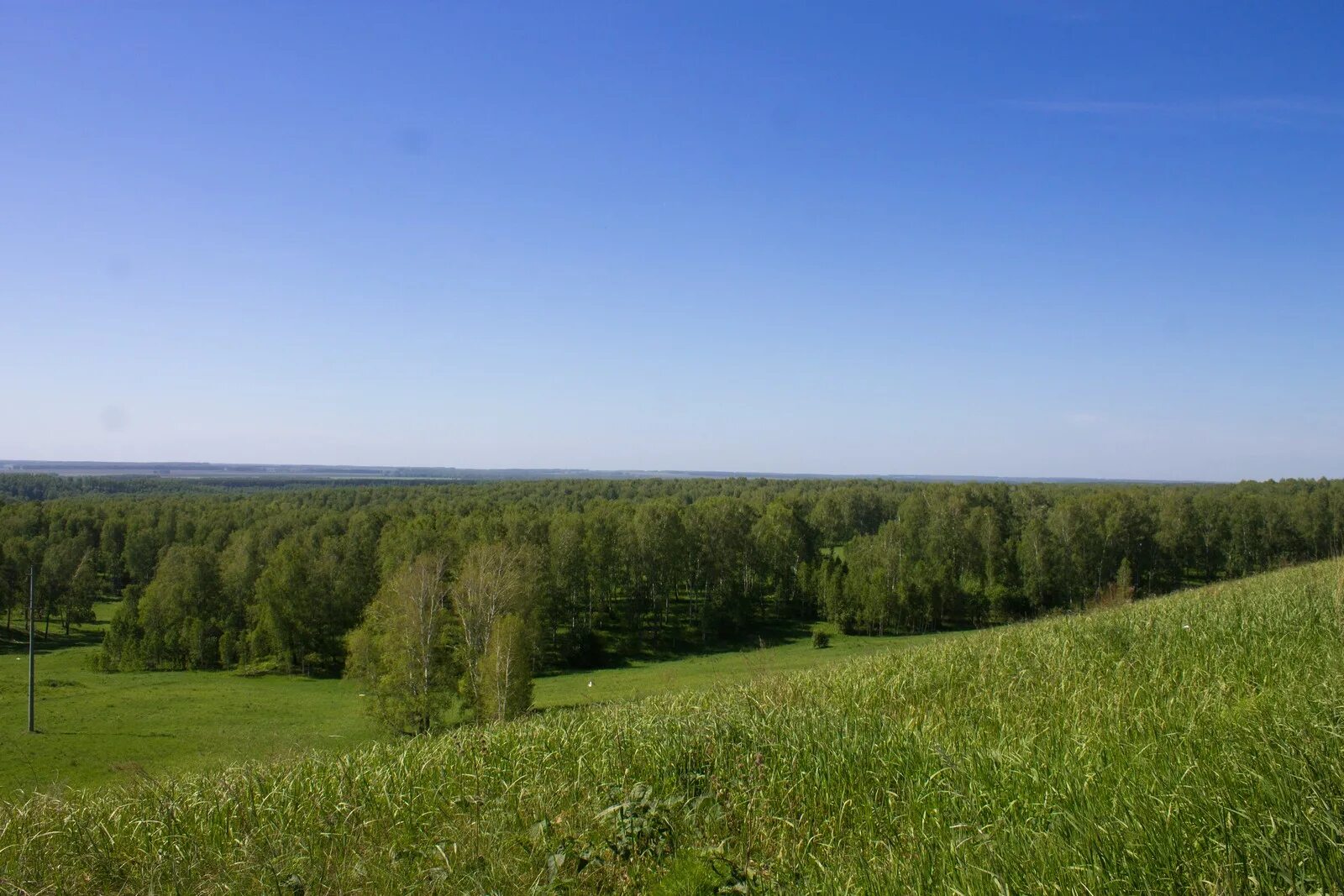 Косихинский сельсовет. Село налобиха школа. Косиха алтайский край. Косихинский сельсовет. Косихинский сельсовет.