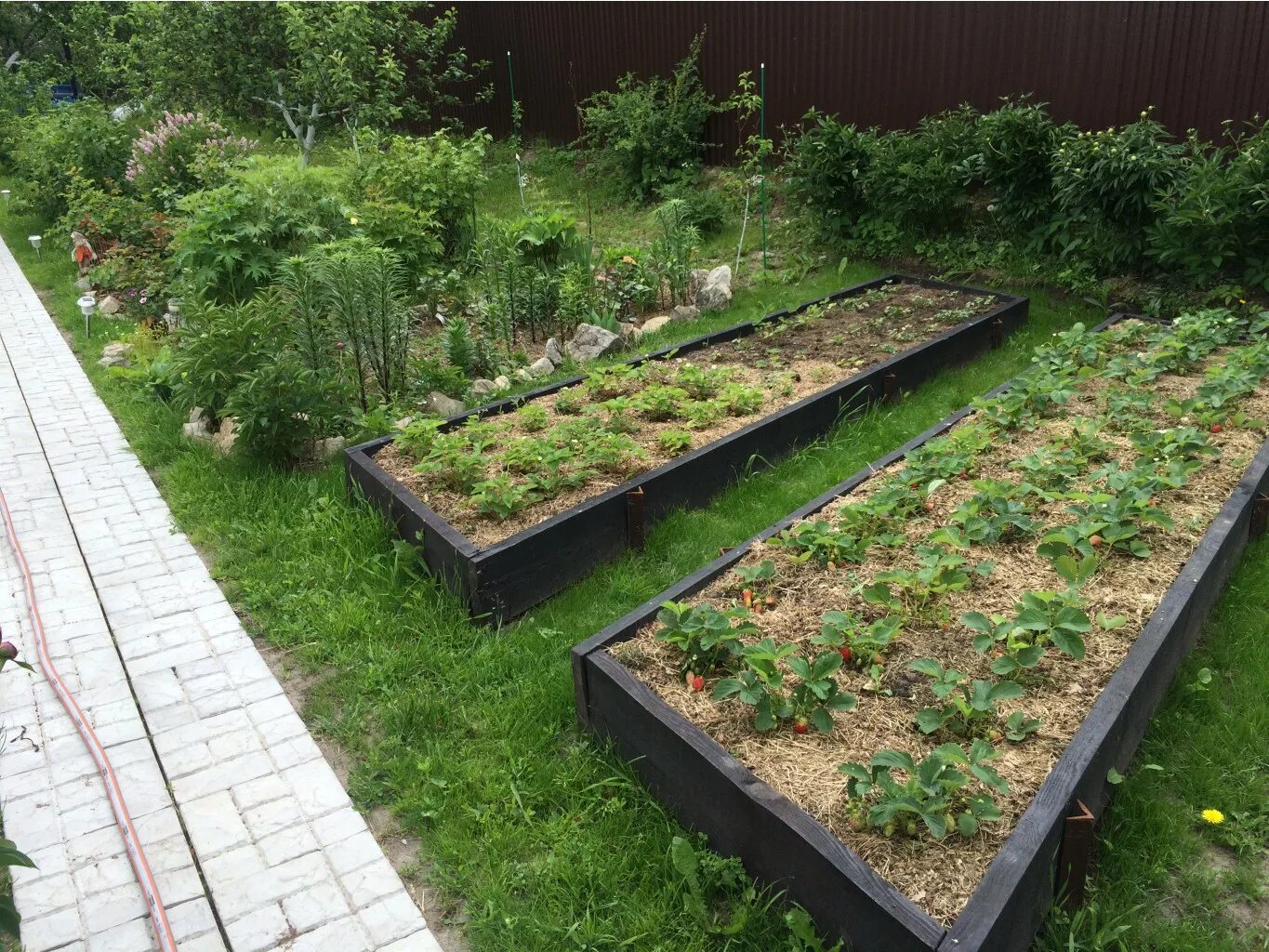 Грядки огород без хлопот для пожилых. Грядки огород без хлопот для пожилых. Грядки огород без хлопот для пожилых. Огород для ленивых пожилых. Огород без хлопот.