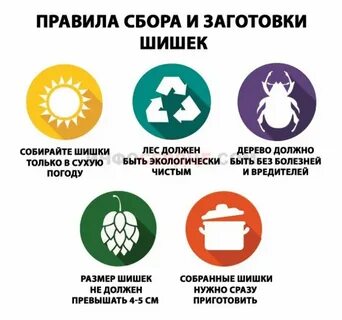 Настойка инсульт