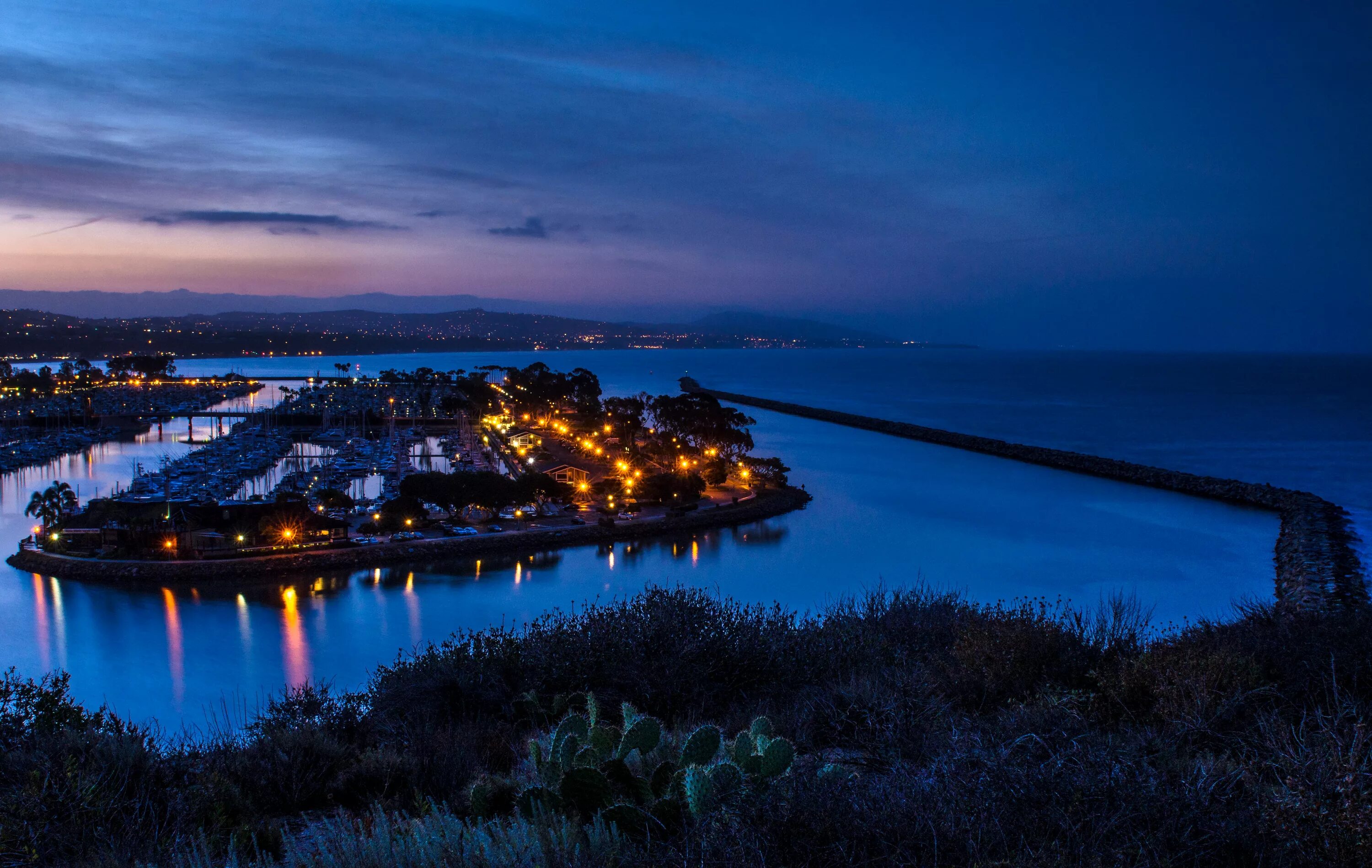 Фото америки сейчас эстетика. Pretty view. Место пляж. Сиреневый закат. Природа экзотика цветами.