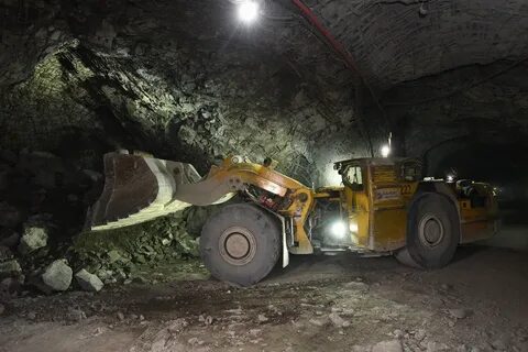 Рудник скалистый