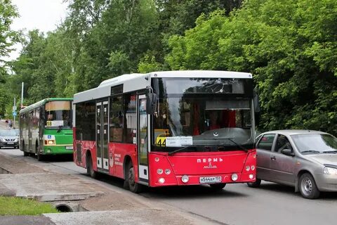 206 автобус маршрут