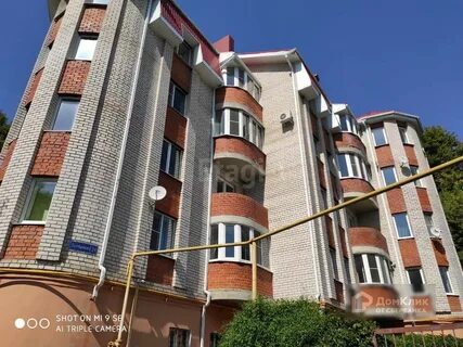 Володарского 24