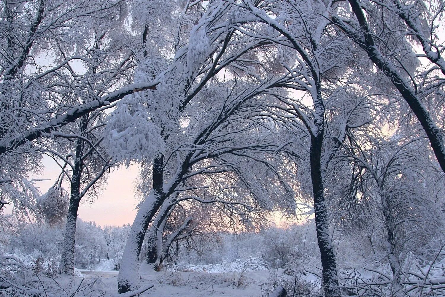 зима снегопад. снежок кружится. зима снежинки. зимний вечер. влюбленные под снегопадом.