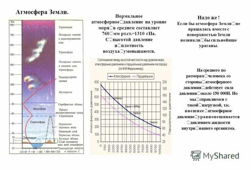 Курганская область высота над уровнем моря