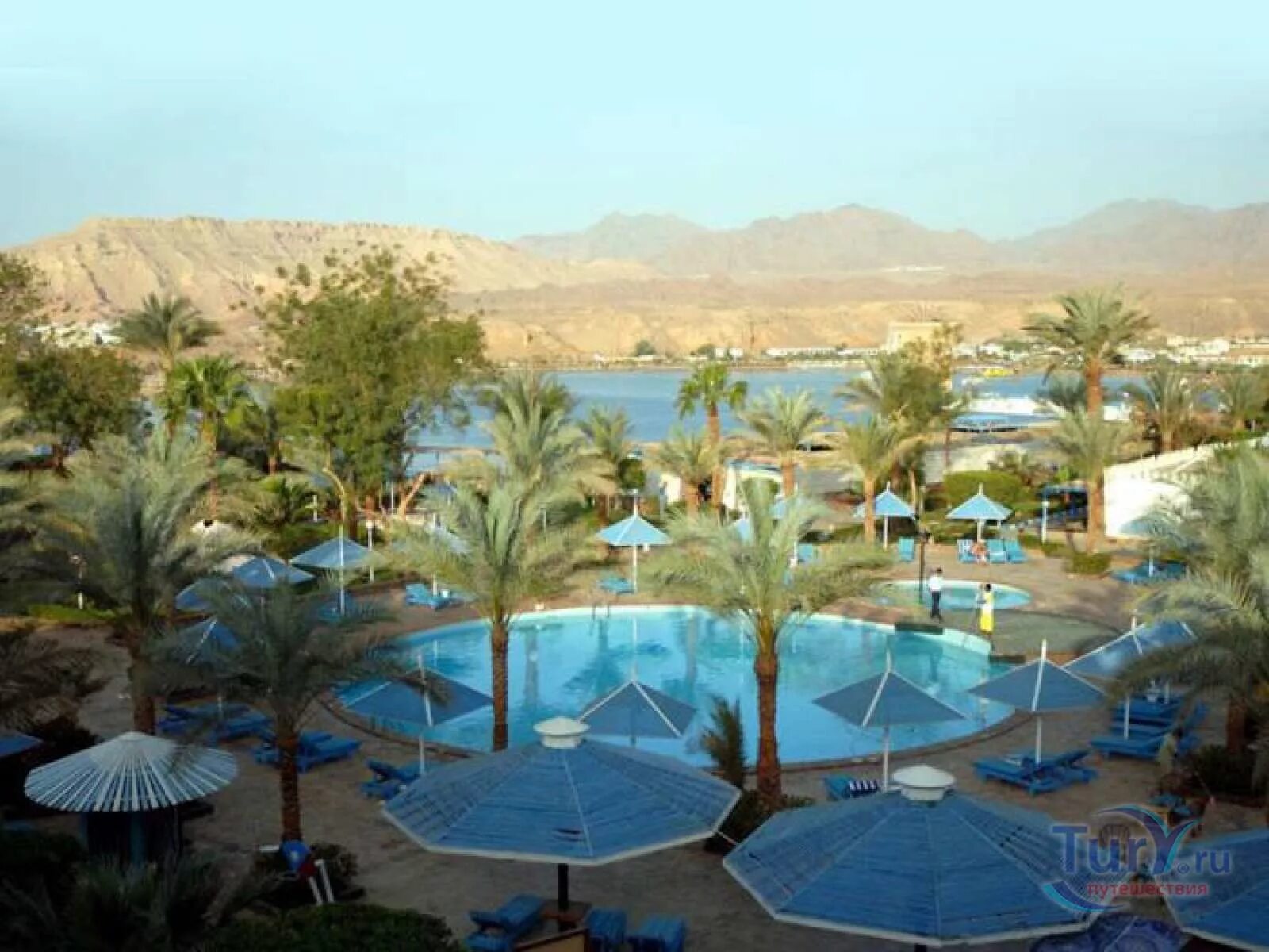 Albatros sharm 4 шарм эль шейх. Бич альбатрос шарм-эль-шейх. альбатрос бич резорт 4 шарм-эль-шейх. beach albatros, египет, шарм эль шейх. египет,хадаба,albatros sharm.