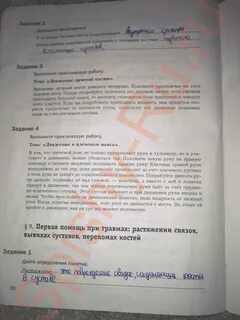 Биология 8 класс драгомилов маш практическая работа