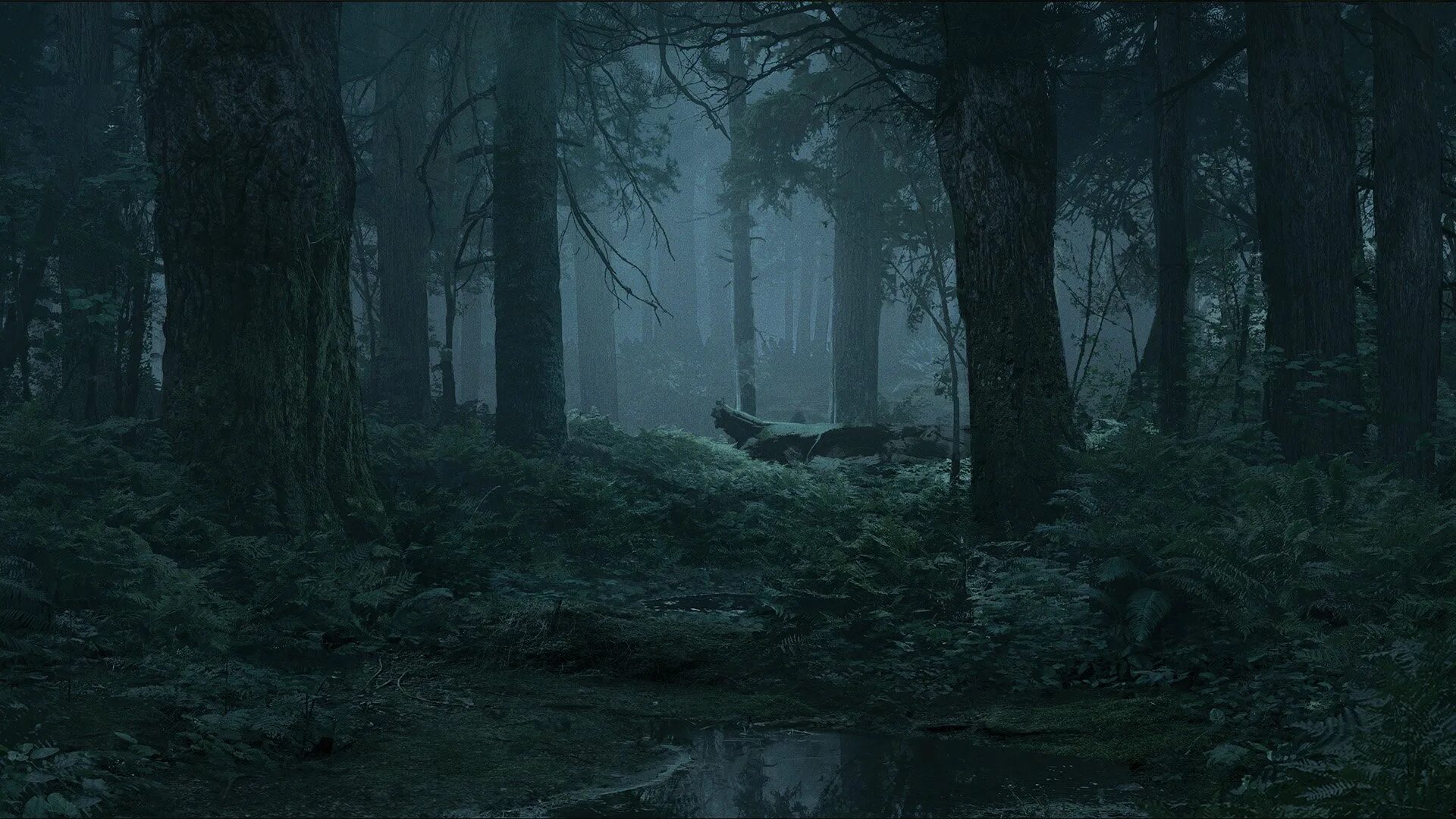 Finding dark