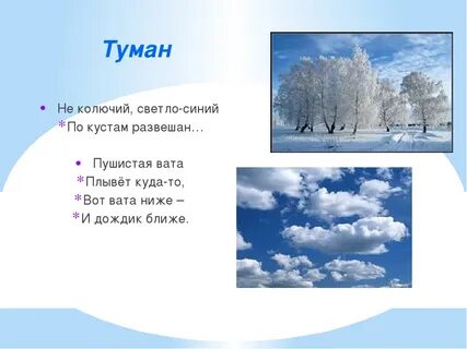 Не колючий светло синий по ветвям