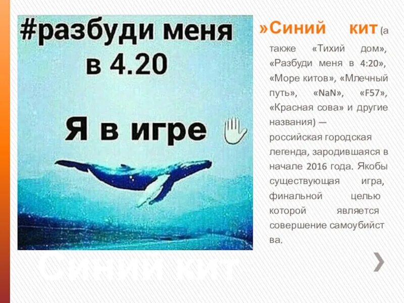 Разбуди меня 4 2. Синий кит 4:20. синий кит разбуди меня.