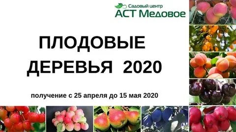 Медовое питомник растений