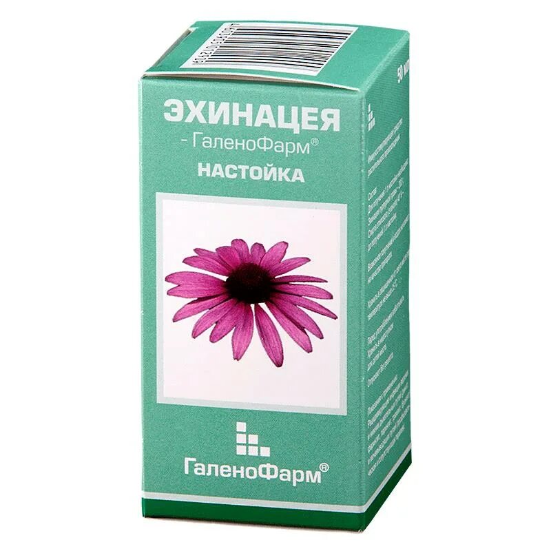 Настойка 50 мл. Эхинацея-галенофарм н-ка 50мл. эхинацея настойка фл 50мл галенофарм. эхинацеи настойка 50мл эколаб. эхинацея пурпурная экстракт.