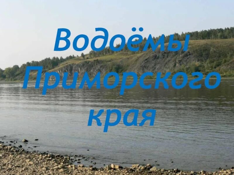Проект "Разнообразие природы Приморского края" как подготовить?