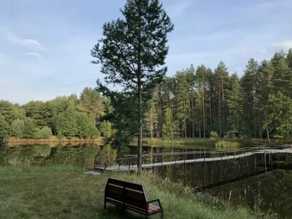 Орловское полесье озеро