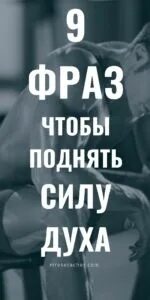 Цитата 9
