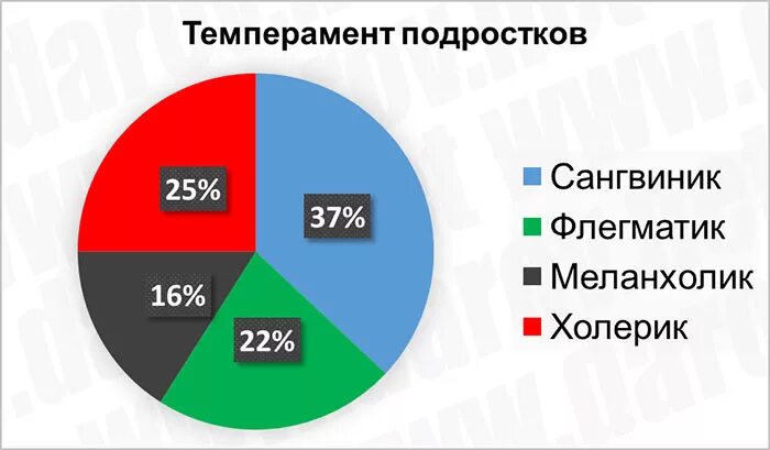 типы личности темперамент. статистика темпераментов. статистика людей по темпераменту. процентное соотношение типов темперамента в мире. темперамент проценты.