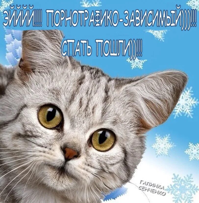 Гасим компьютер и спать. Выключай телефон и ложись спать. Спать выключай компьютер. Спать пора спокойной ночи. Спокойной ночи картинки прикольные.