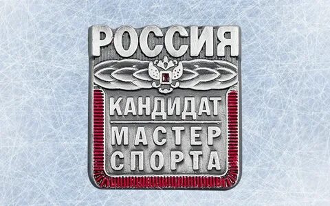 Мастер спорта нижний новгород