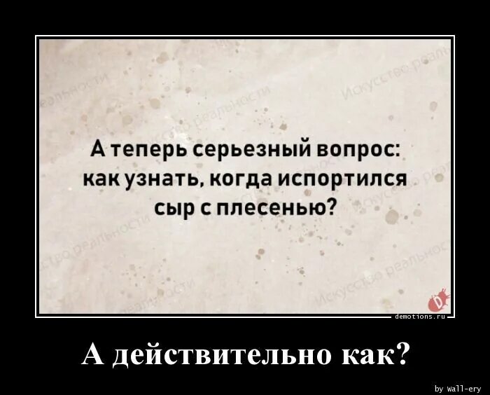 Время серьезных вопросов. Смешно о серьезном. С юмором о серьезном. Серьезный вопрос.